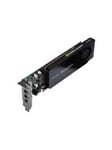 Quadro K1200 - 4GB GDDR5 RAM - Grafikkort