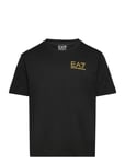 EA7 T-Shirt Svart