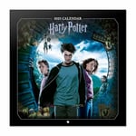 Grupo Erik - Calendrier Mural 2025 Harry Potter | Calendrier Mensuel 30x60cm - De Janvier 2025 à Décembre 2025