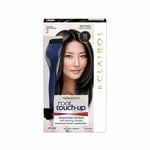 CLAIROL NICE'N EASY ROOT TOUCH-UP MATCHES-2  BLACK SHADES