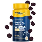 Wellgard Himalayan Shilajit Gummies – Formulated with Ashwagandha, B-Vitamins, and Zinc, Vegan