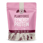 Synergy Protein Berry 400 g