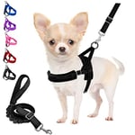 Eyein No Pull Small Dog Harness & Lead, Heavy Duty Easy for Walk Vest Harness Soft Padded Reflective Adjustable Puppy Harness Anti-Twist Pet Lead Quick Fit for Small Dog Cat Animal (XXS, Black)