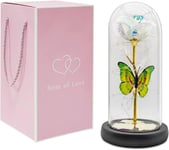 Rose Galaxy Éternelle Rose Blanche Bell En Verre Rose Galaxy Blanc Idée Cadeau Romantique Femme Maman Petite Amie Rose Éternelle Galaxy Blanc Belle Et Bête En Verre Cloche