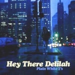 Plain White T&#039;s  Hey There Delilah  CD