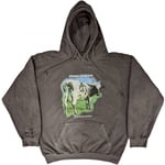 Pink Floyd Unisex Adult Atom Heart Mother Fade Pullover Hoodie - XXL