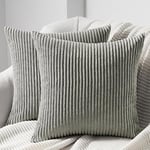 Topfinel Housse Coussin 45x45 Gris Clair en Velours Côtelé Super Doux avec Fermeture Eclair Invisible Coussin Décoratif Canapé Salon Chambre Lit Adulte Fille Bebe Scandinave Dopamine Lot de 2