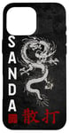 iPhone 16 Pro Max Dragon Sanda Chinese Boxing Case