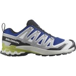 SALOMON Xa Pro 3d V9 - Bleu / Gris Vert taille 42 2/3 2025