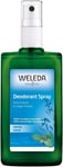 WELEDA - Déodorant Sauge Efficacité Formule 100% D'Origine Naturelle - 100 Ml