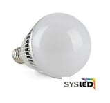 Ampoule LED E14 6W à filament Couleur LED: Blanc Froid (6000-6500K)