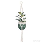 Portico Designs Ltd Macrame Plant Pot Hanger, Cotton, Cream, One Size