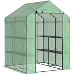 Walk-in Greenhouse with Shelves, Outdoor Green House