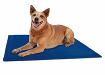 Reversible Pet Dog Cat Cooling Gel  Mat Medium Size 61 x 76 cm