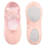 Chaussure de Ballet Danse Classique Toile Chaussures Gymnastique Yoga Ballet Chaussons pour Filles Femmes 31 EU Rose