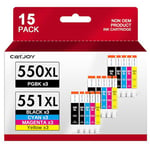 CATJOY 550 551XL Ink Cartridges Replacement for Canon PGI-550XL CLI-551XL for Canon Pixma ix6850 IP8750 MX925 MG5550 MG5650 MG6450 MG6650 MG7150 MG7500 MG7550 (15-Pack)