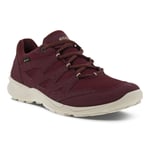 Ecco Terracruise LT Low GTX Woman Morillo 42