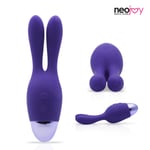 Neojoy Naughty Bunny Vibrator (Purple) Rabbit Clitoral Massager Adult Sex Toy