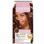 Casting Natural Gloss hårfärgning 553 Spicy Chestnut