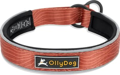 OllyDog Martingale Reflective Comfort Collar Clay, L