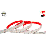 LED STRIP 10M 24W/METER