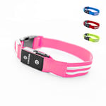 Tractive - Collier Chien LED Lumineux. Rechargeable par USB. Étanche (Rose)