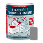 Procom - Peinture, résine d'étanchéité toiture, réparation tuiles, fissures, anti-fuites, décore, protège, plusieurs coloris Gris (ral 7042) 0.75