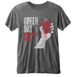 Green Day Unisex Adult American Idiot Burnout T-Shirt - XS