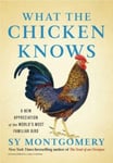 Sy Montgomery - What the Chicken Knows A New Appreciation of World's Most Familiar Bird Bok