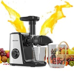 Muchen Slow Juicer presse-agrumes pour fruits et légumes Moteur silencieux Nettoyage facile avec fonction de mastication inversée 150 W en acier inoxydable noir argent avec livre