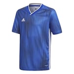 adidas Tiro 19 JSY Y T-Shirt - Bold Blue/White, 1112Y