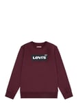 Levi's Levi's® Crewneck Sweatshirt Brun