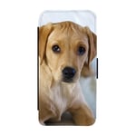 Labrador Valp Samsung Galaxy A25 Flip Mobilfodral