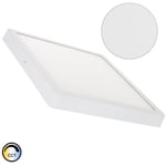 Plafonnier led Carré 24W Extra-Plat (CRI90) Microprismatique cct Sélectionnable (UGR17) 280x280 mm Downlight Sélectionnable (chaud-neutre-froid)