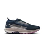 Nike Pegasus Trail 5 Gore-Tex