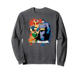 Batman: The Brave and the Bold Batman & Friends Sweatshirt