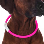 Hundhalsband LED Lights Rosa