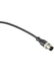 Schneider Electric Sensor cable pur m12 4-pin male straight 5 meters xzcp1541l5