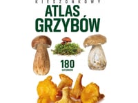 Pocket Atlas Of Mushrooms (Patrycja Zarawska, Wieslaw Kaminski)