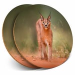 2 x Coasters - Caracal African Lynx Cat Home Gift #3170