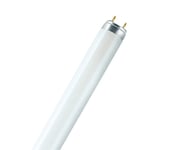 Osram Lysrør L 36W 840 Lumilux Interna 120cm