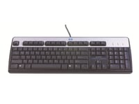 Hp - Tastatur - Usb - Sølv, Jakksvart - For Hp T5570  Workstation Z420, Z620, Z820  Hpe T5145, T5540  Compaq Thin Client T5735