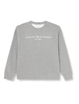 Tommy Hilfiger Women's Sweatshirt without Hood, Grey (Medium Heather Grey), 50