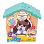 Little Live Pets My Puppy Home Minis Teal & Orange - Brand New