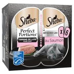 Sheba Perfect Portions pour chat adulte Barquettes Nourriture humide Terrine de luxe au saumon 6x37 LOT DE 8