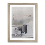 Cow At The Rivers Edge By Hashimoto Gaho Asian Japanese Framed Wall Art Print, Ready to Hang Picture for Living Room Bedroom Home Office Décor, Oak A3 (34 x 46 cm)