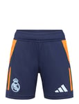 Real Madrid Tr Sho Y Sport Sport Clothing Sport Shorts Blue Adidas Performance