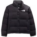 Doudounes The North Face  1996 RETRO NUPTSE