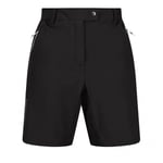 Regatta Womens/Ladies Mountain II Shorts - 14 UK