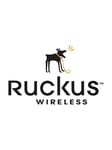 Ruckus Wireless Ruckus-kumppani WatchDog Premium -tuki